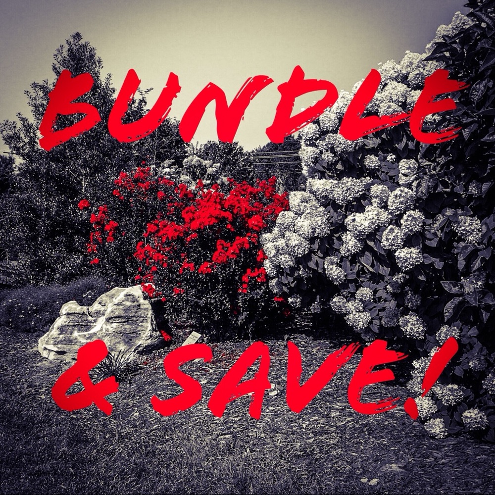 💰 Bundle & Save Discount! 💰